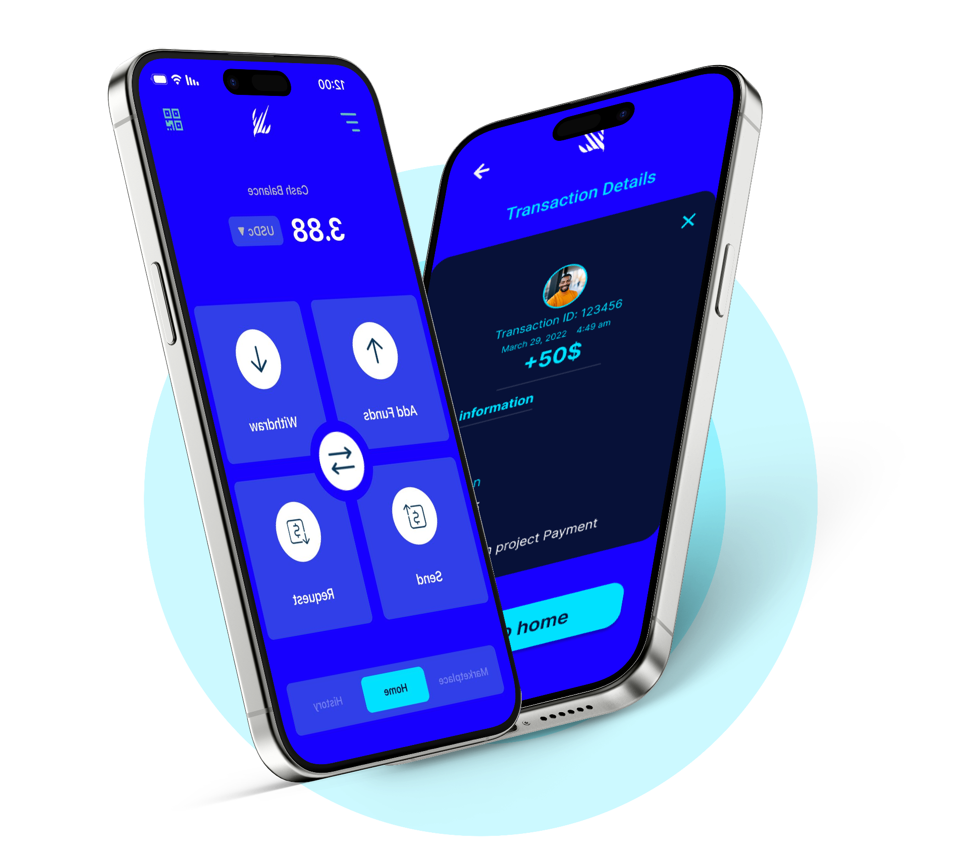 Shaheen Money app on iPhone showing wallet and transaction details